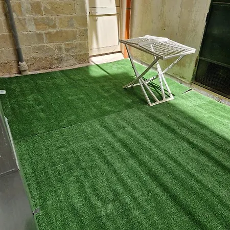 Whitehouse ليتشي